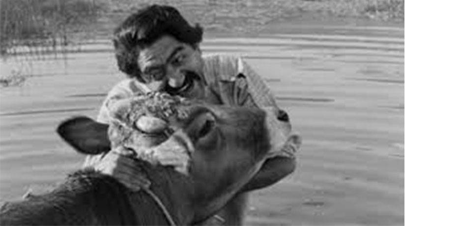 Bir Dönemin Aynası: Gulam Hüseyin Sâedi - IV: Gulam Hüseyin Sâedi’nin İran Sineması ve Tiyatrosundaki Etkisi