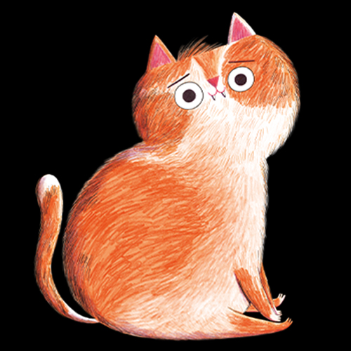 Hayatımı Kurtaran Hayalet Kedi  (7-8 yaş)