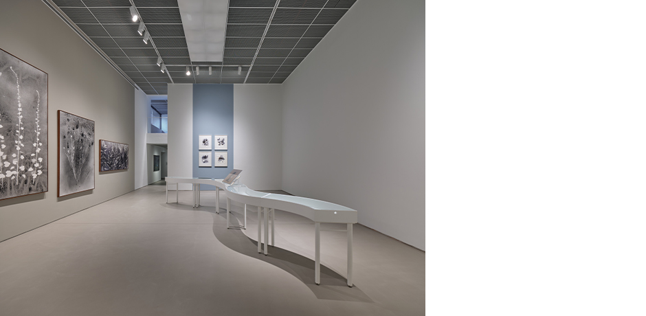 Öğretmenler İçin Küratör Eşliğinde Sergi Turu (Yaşar Kemal Doğa Okulu kapsamında)