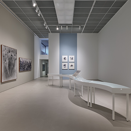 Öğretmenler İçin Küratör Eşliğinde Sergi Turu (Yaşar Kemal Doğa Okulu kapsamında)