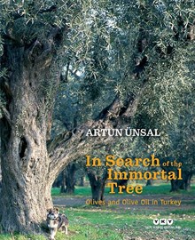 In Search Of The Immortal Tree / Olives and Olive Oil in Turkey