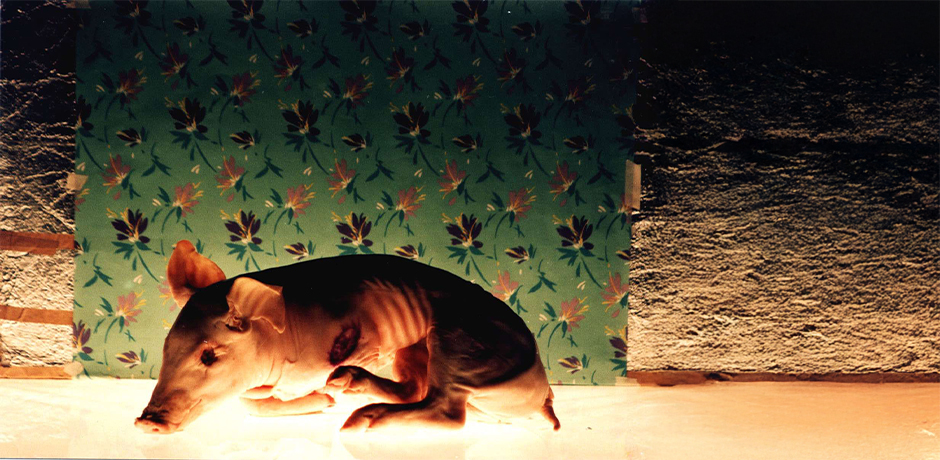 Tuzu Bizim Tarafa Uzat / Anima / Çiçek Adası