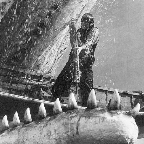 Romandan Sinemaya İnsanın Halleri - Moby Dick