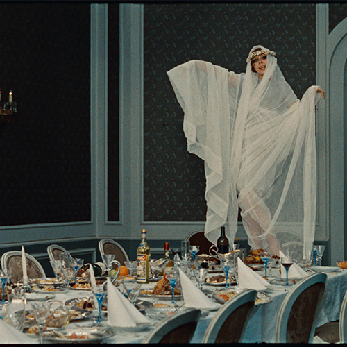 Mutfakta Göstergebilim / Papatyalar 