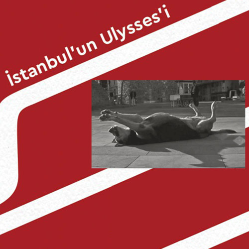 İstanbul’un Ulysses’i - “Taşkafa”