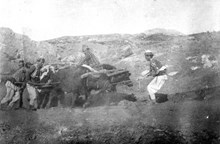 İşçiler sığırların yardımıyla kazıda çıkarılan büyük taş blokları taşımaya çalışıyorlar (1907)